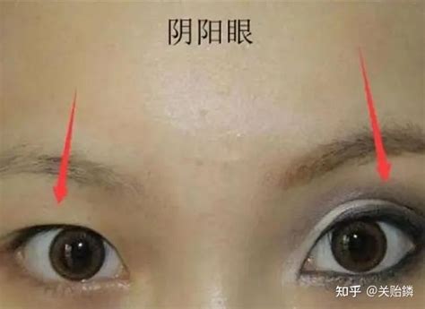 不同面相|面相看眼睛教学：39种决定人生运势的眼型 （大合。